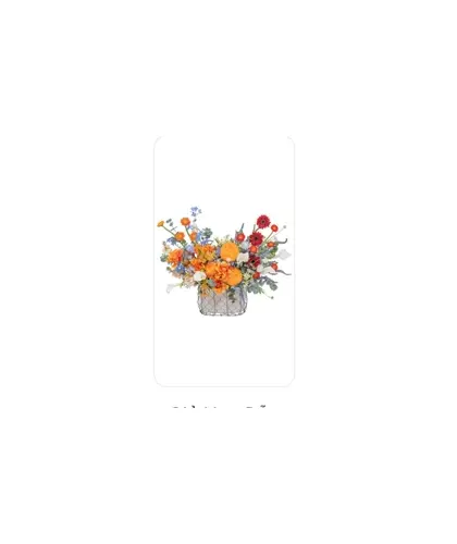 Giỏ Hoa Dẫn Lối Yêu 01