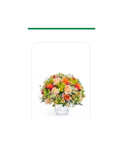 Bình Hoa Dẫn Lối Yêu