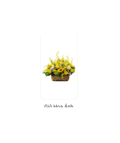 Giỏ Hoa Ánh Dương Rực 02