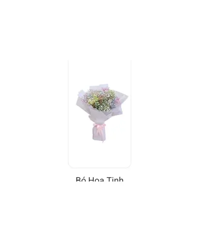 Bó Hoa Tinh Khôi 223