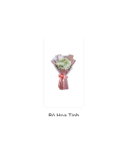 Bó Hoa Tinh Khôi 207
