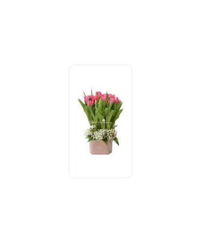 Bình Hoa Tulip 010